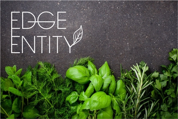 Edge-Entity-logo-design-portfolio-3