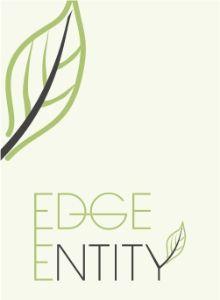 Edge-Entity-logo-design-portfolio