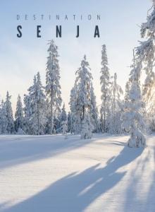 senja-destination-website-portfolio-